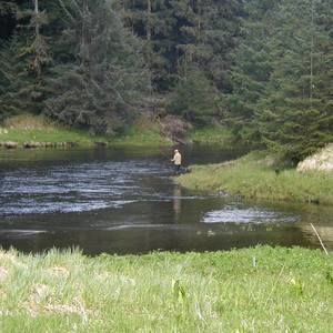 Meet your Posher, Roger